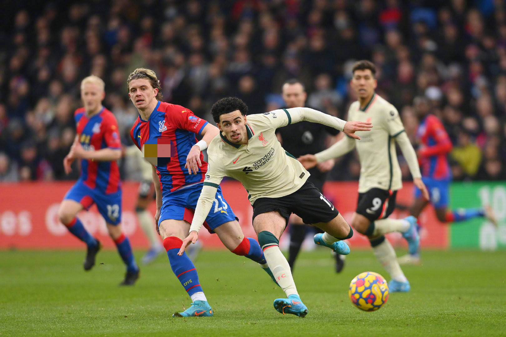 尖子球员 尖子球员